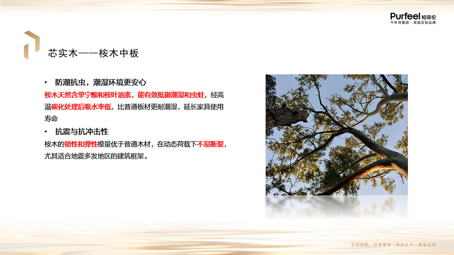 柏菲伦芯实木板介绍图片6
